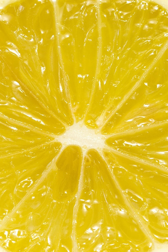 N-101 Focus – Citron
